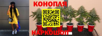 синтетический гашиш Будённовск