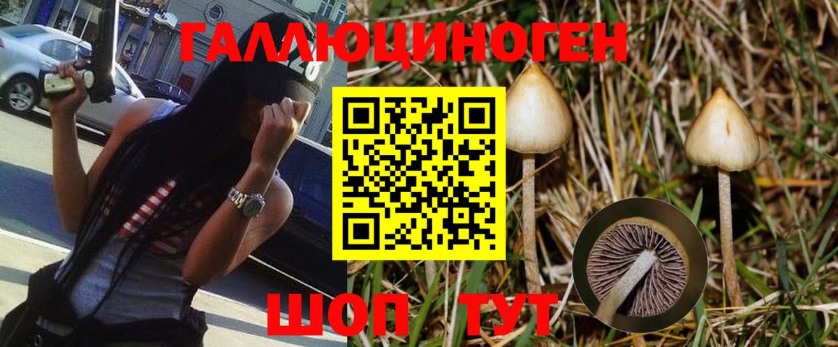 Псилоцибиновые грибы MAGIC MUSHROOMS  Вход с VPN  Сорочинск 